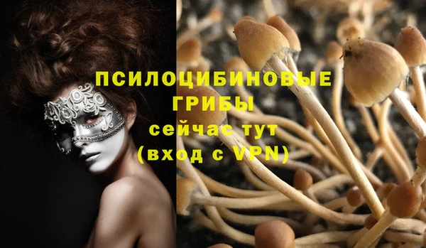 стаф Балабаново